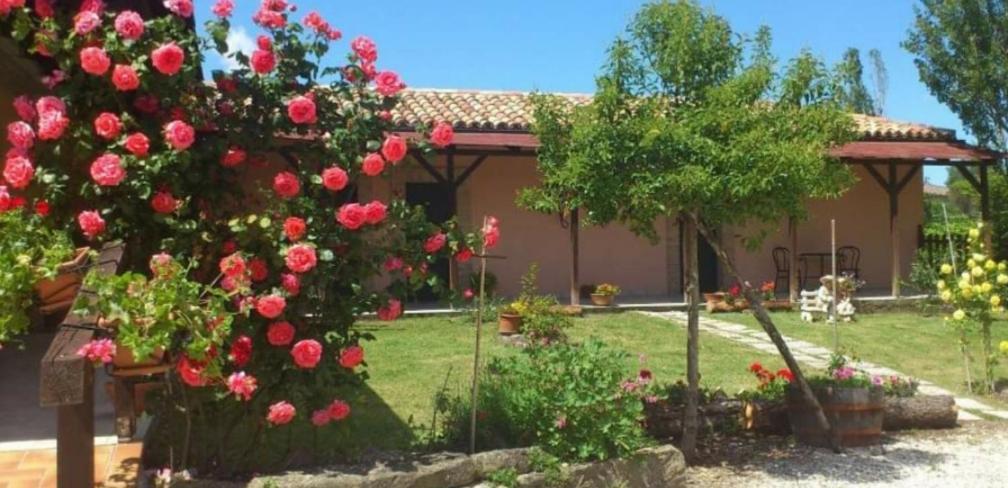 Agriturismo Il Casolare Bed & Breakfast San Ginesio Екстериор снимка